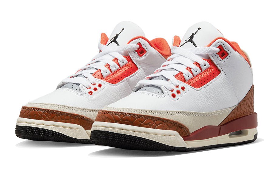 Air Jordan 3 Dunk On Mars