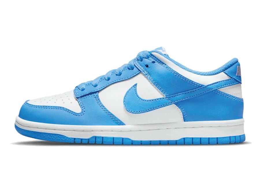 Nike Dunk Low UNC