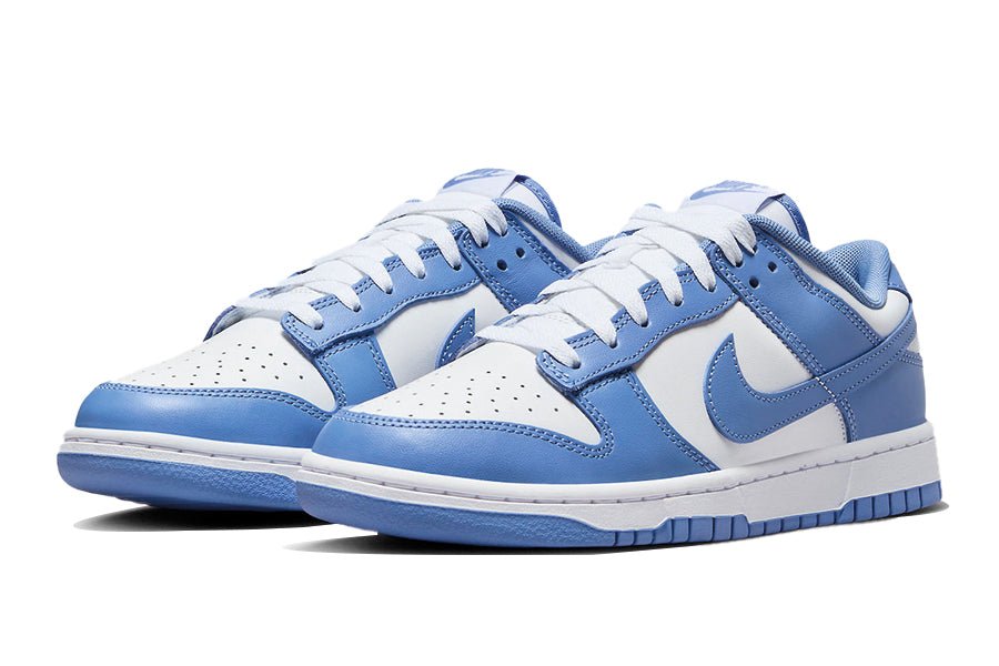 Nike Dunk Low Polar Blue